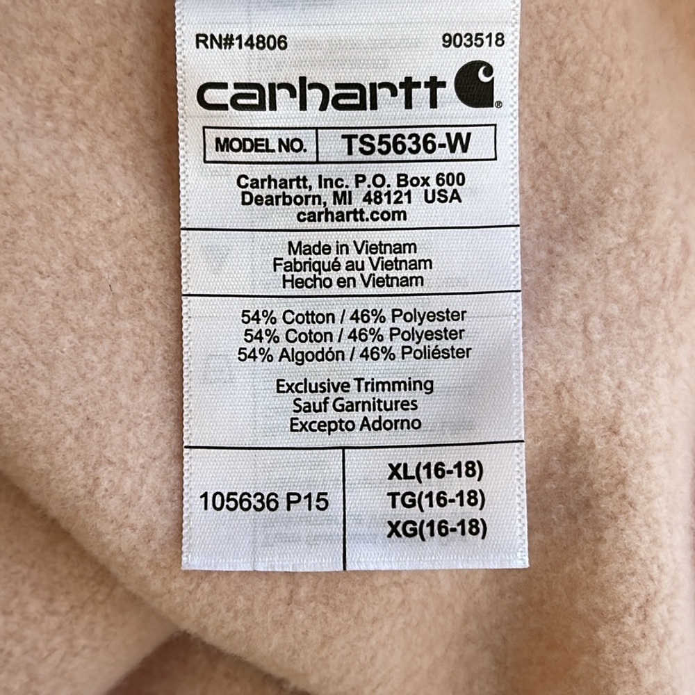 Carhartt Rain Defender Relaxed Fit Midweight Graphic Hoodie - Picture 14 of 15